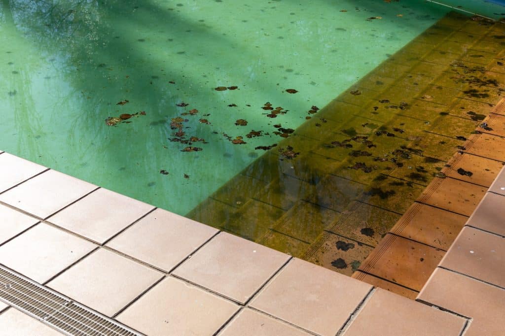 Dirty swimming pool